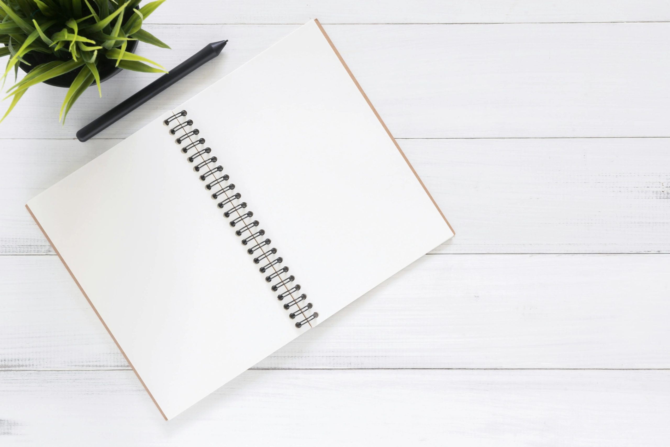 pexels-tirachard-kumtanom-112571-733857 Carnet et stylo pour écrire un article SEO pour blog